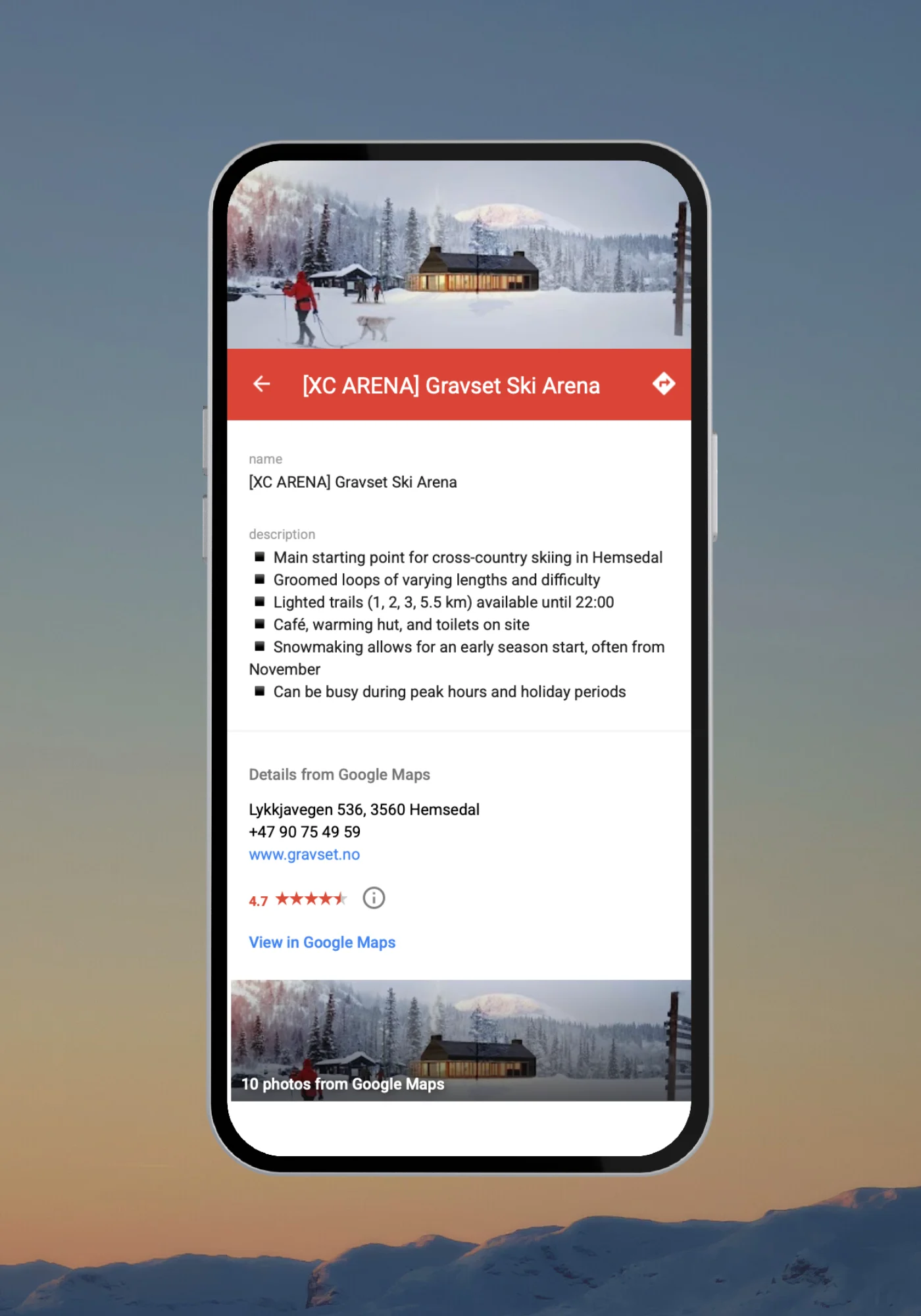 Winter in Hemsedal: A Local Guide Map - Image 3