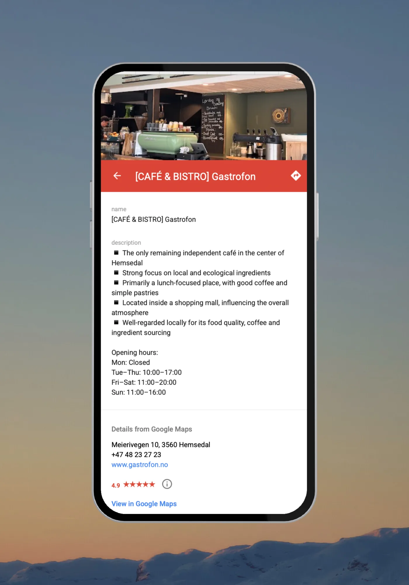 Winter in Hemsedal: A Local Guide Map - Image 4